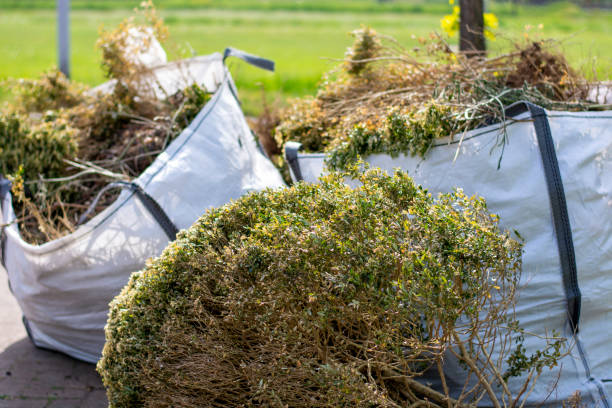 Best Same-Day Junk Removal  in Rosemount, OH